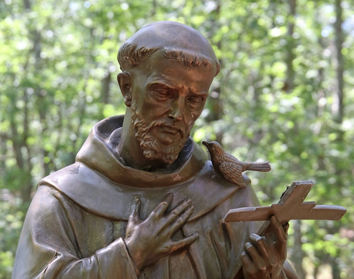 St Francis